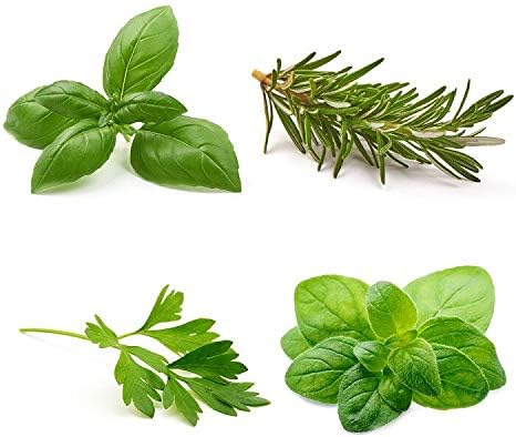 40+ Herb Garden Seeds Collection - 4 Pack of Culinary Herb Seeds - Organic Basil, Rosemary, Parsley, Oregano Seeds, Heirloom non-GMO Seeds for Planting, 10+ Loose Packed Sed Each