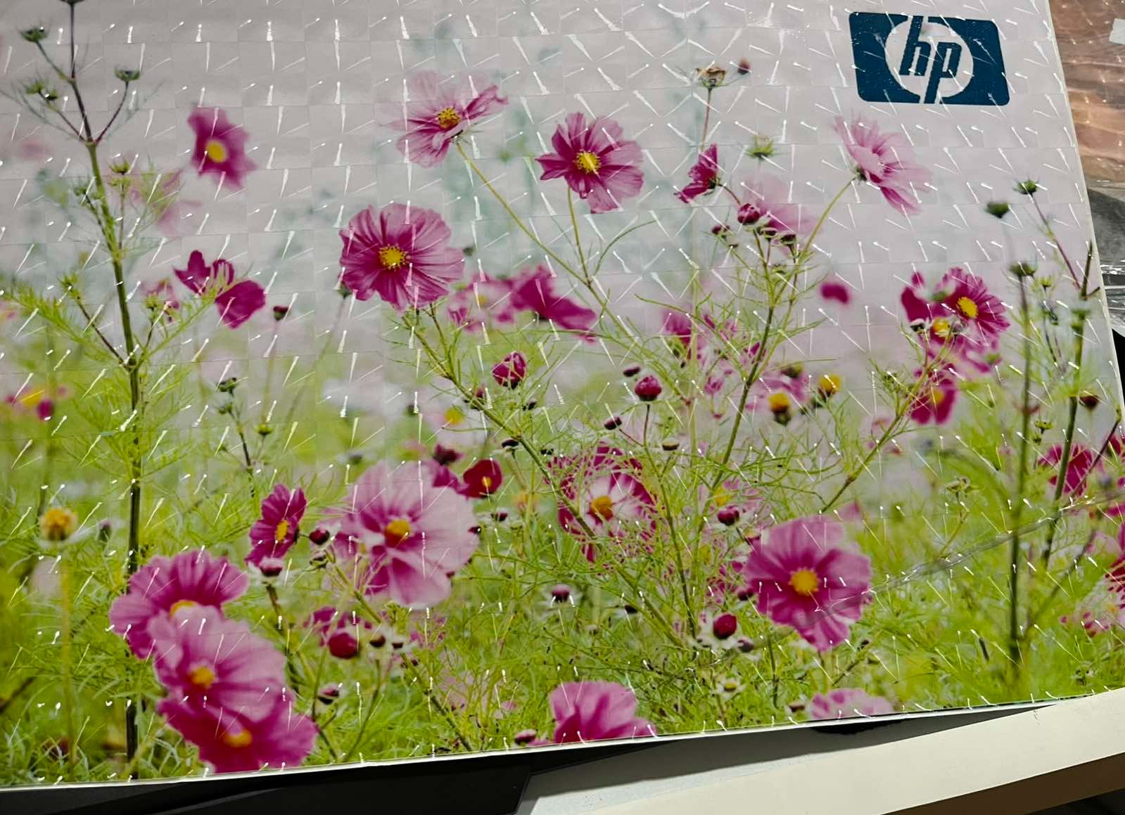 Laptop Skin/Sticker Fit with Dell, HP, Lenovo, Toshiba, Acer, ASUS and for All Models (15.6 /14 inches)