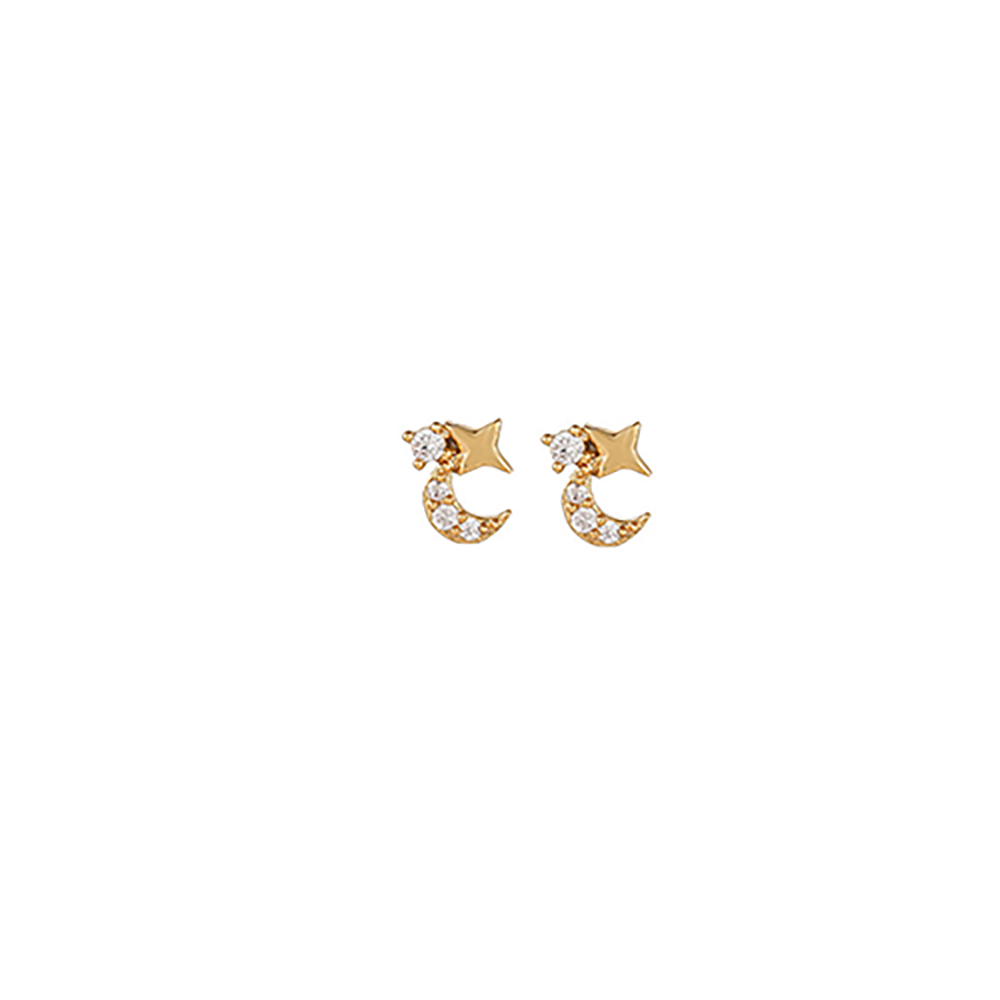 2PCS New Stainless Steel Cubic Zirconia Chain Hoop Earrings For Women Star Moon Unique Punk Earring Cartilage Piercing Jewelry Bles Online DZ-32C-28