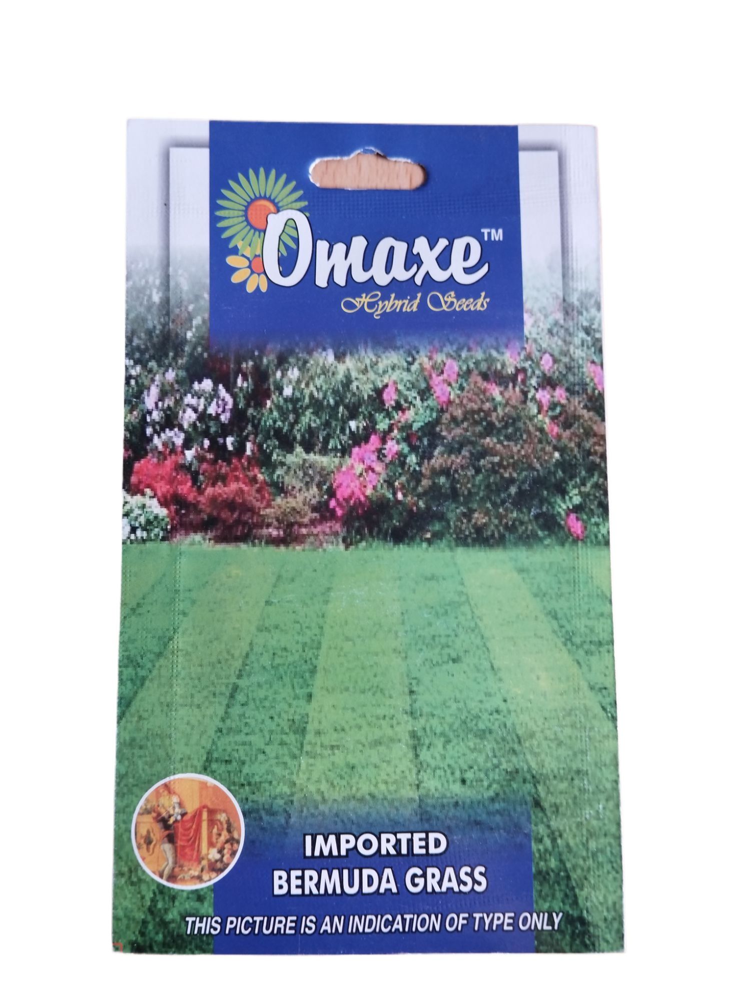 Hybrid Imported Bermuda Grass Seeds दुबोको बिउ 200 Seeds