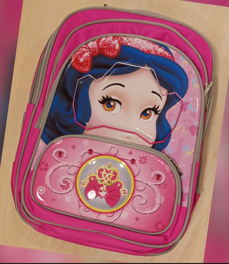 Princess school bag for girls imported school bag for girls princess school bag girls school bag high quality 3D school bag suitable for 1 and above classes frozen school bag Anna school bag Elsa school bag Sophia school bag unicorn school bag