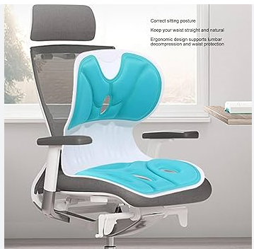 Ergonomic Back and Lumbar Support for Good Posture Correction and Back Relief, Petal Shape Waist Chair for Office Floor Work Home, Sitting Posture Corrective Chair