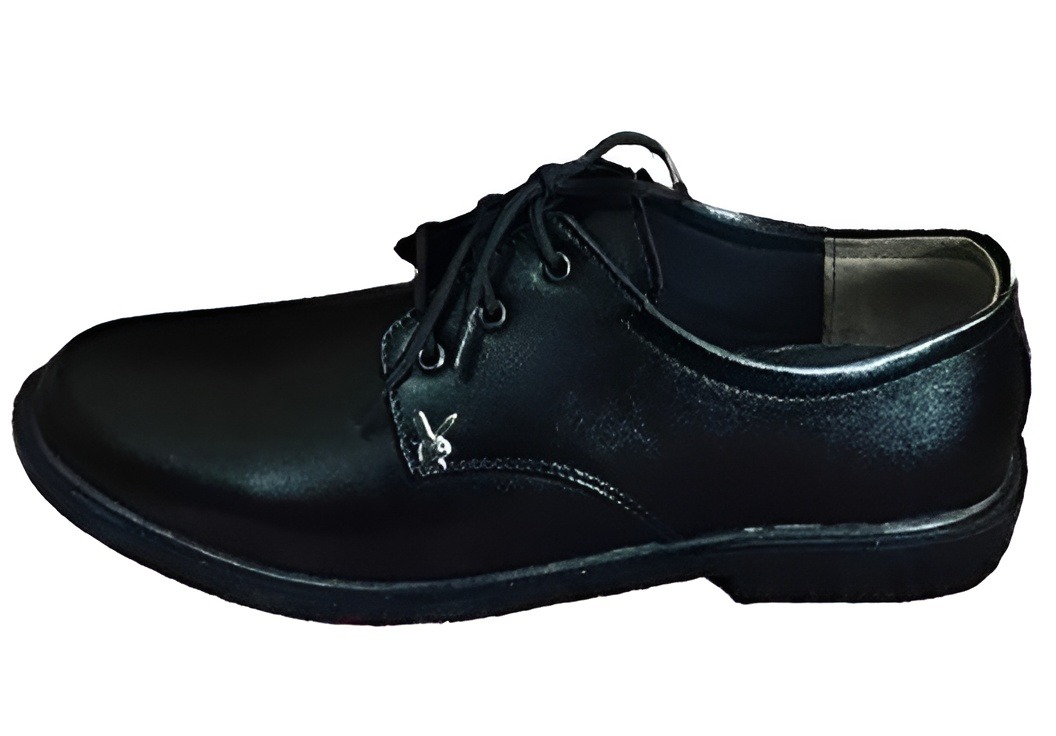College/Shchool shoes for Boys