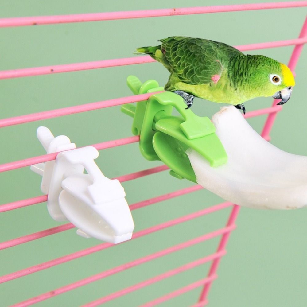 6Pcs Multifunctional Plastic Pet Bird Food Clip Mini Practical Parrot Fruit Vegetable Clip Portable Cuttlefish Bone Feeder Bird Cage Use