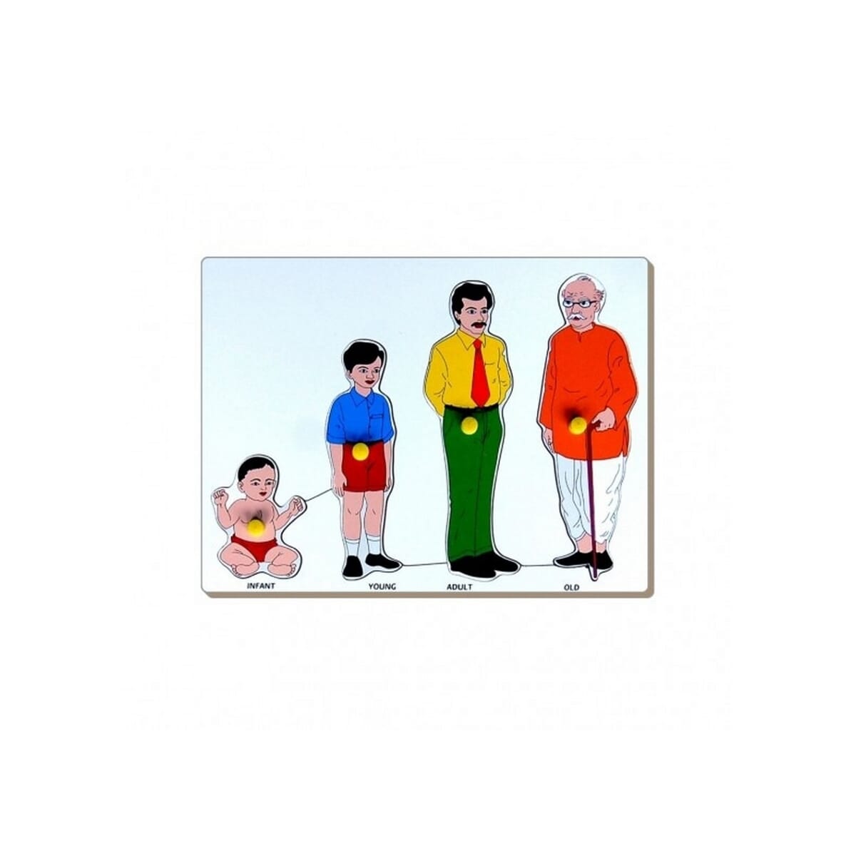 Little Genius Wooden Growth Puzzle With Knob LC-03 (30x22x1 cm)