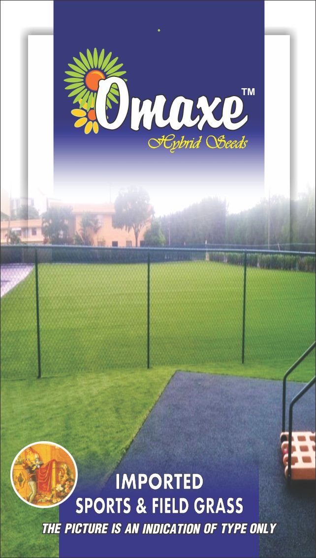 1 Packet Easy Grow Omaxe Seeds Sports Grass N Field Grass Seeds, Tall Fescue Variety 200 Seeds