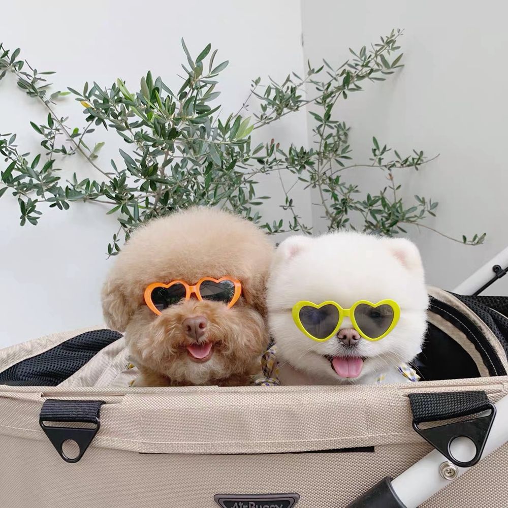 Heart Cute Photos Props For Small Cat Pet Products Pet Glasses Cat Glasses Cat Sunglasses Cat Eye-Wear Pets Party Decor