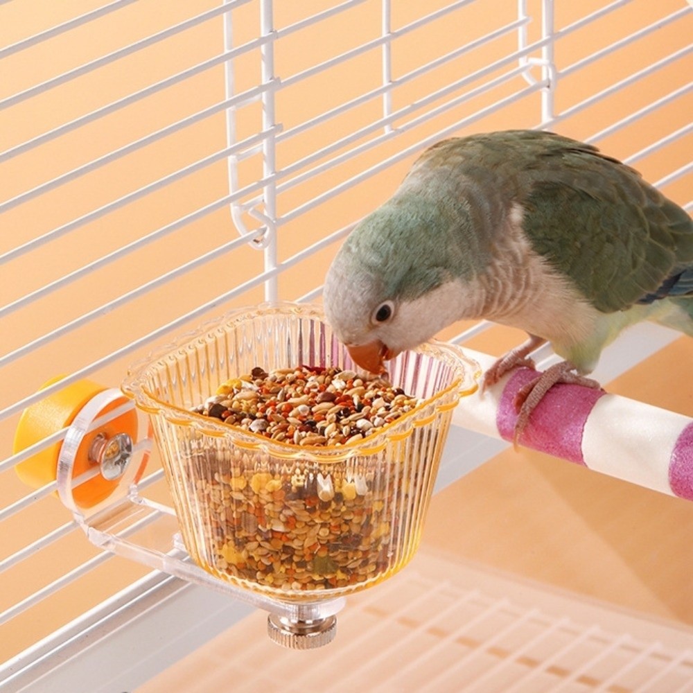 New Magnetic Base Parrot Feeder Transparent Spill-proof Water Feeding Basin Plastic Tip-proof Bird Feeding Bowl for Small Pets