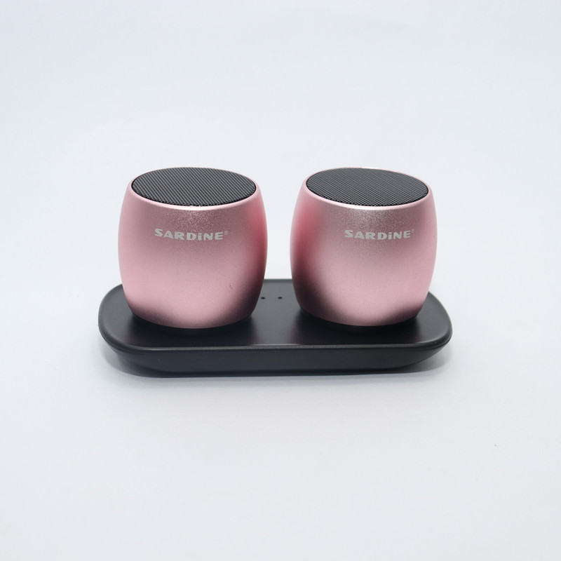 Rose Gold Sardine Portable Wireless Speaker