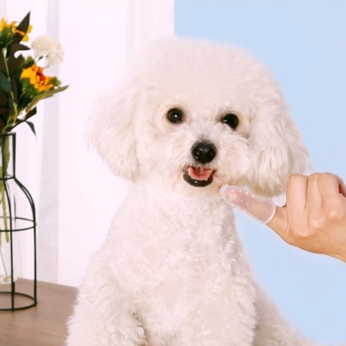 Silicone Pet Toothbrush For Pets Dogs And Cats Clean 5*2cm