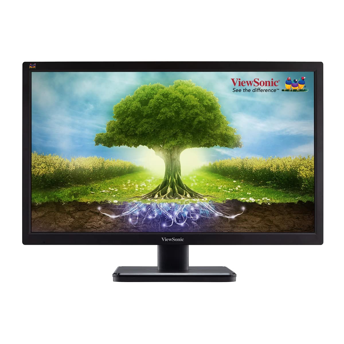 ViewSonic 22 Inch Monitor VA2223H TN Panel Full HD , 102% SRGB, VGA & HDMI Support