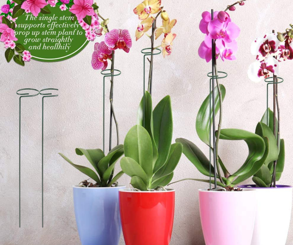 18 inches Metal Trellis for Plants, Pack of 3 | Single Stem Flower Plant Support | Garden Climbing Plant Trellis for Amaryllis Orchid Lily Rose Tomatoes