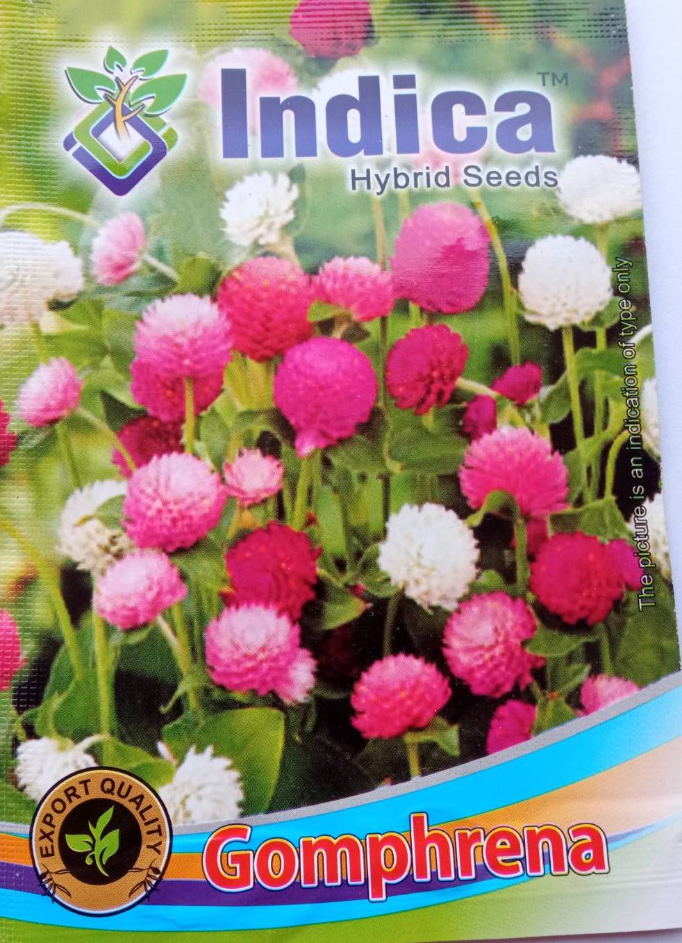 Gomphrena Mixed Flower Seeds 1 Gram