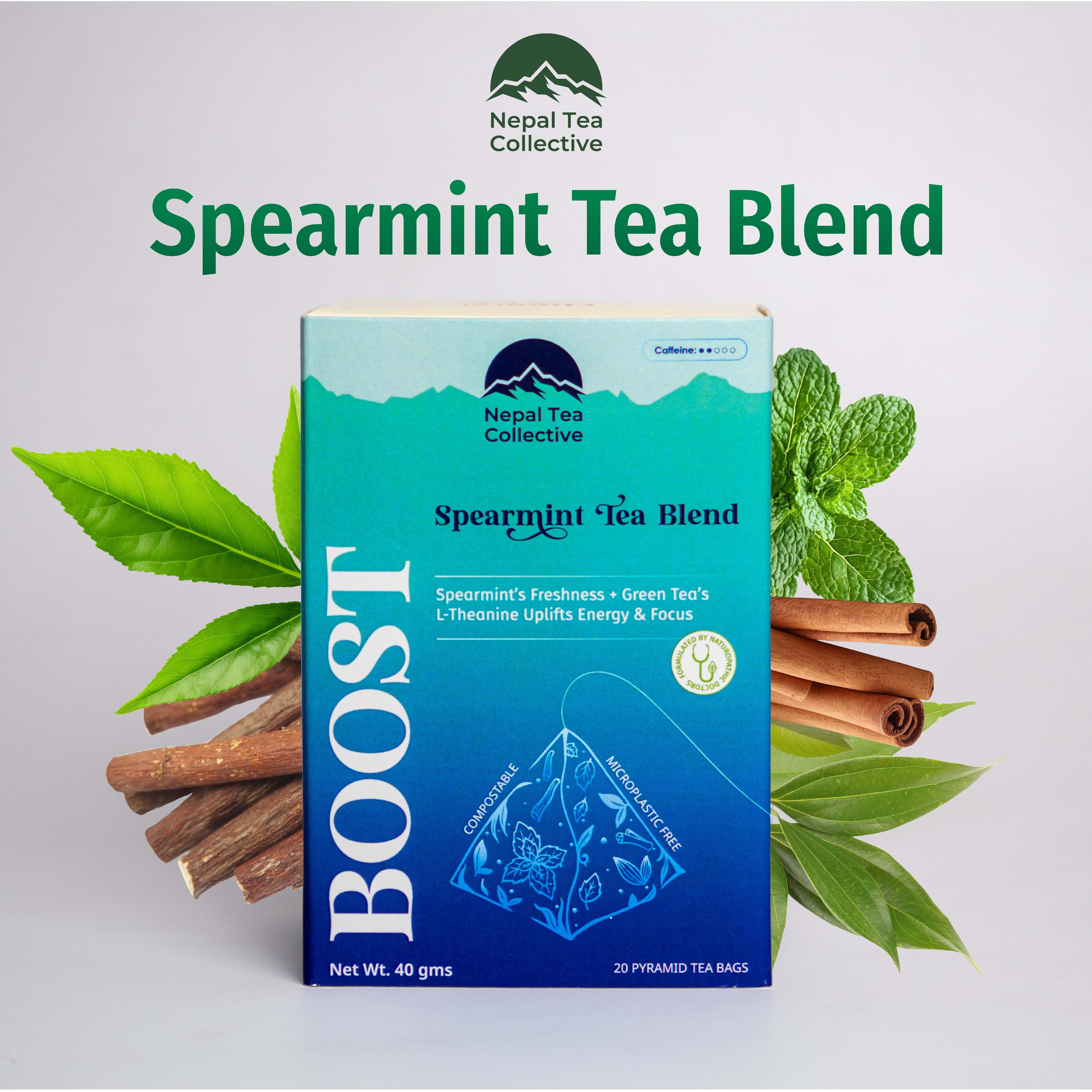 Boost Tea Bags (Spearmint Tea Blend)