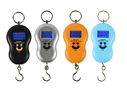 Portable Electronic Scale Spring Household High Precision Portable Express Called Hook Shopping Small Scale