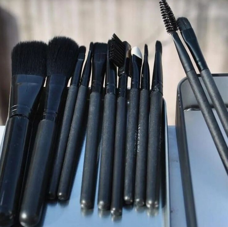 Makeup Brush set 12 Pieces with Storage Box