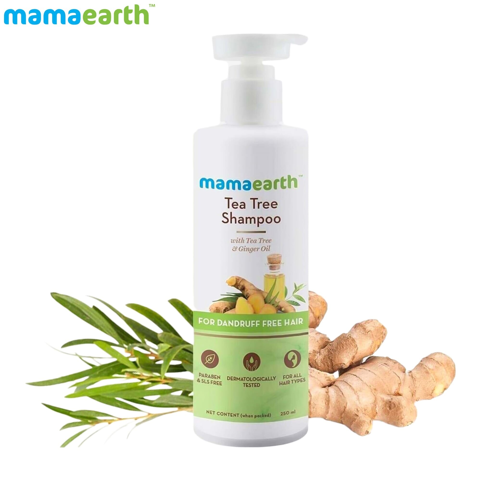 Mamaearth Tea Tree Shampoo 250 Ml Natural Hair Care Product for Allergy-Free Skincare
