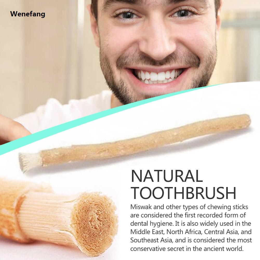 Wenefang Miswak Siwak Natural Toothbrush Misvak Traditional 【2025 Version】 Arak Miswaak Teeth Whitener Soft Travel Toothbrus