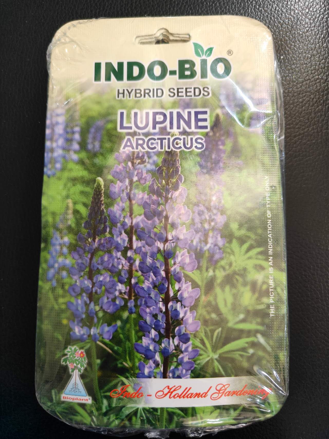 99 Mall Offer Indo-Bio Lupine Majesty Mix Seeds - Tall, Vibrant Spiked Perennial Flowers for Cool Climate Gardens - Nitrogen-Fixing, Soil-Enhancing Ornamental Plants by 99 shop
