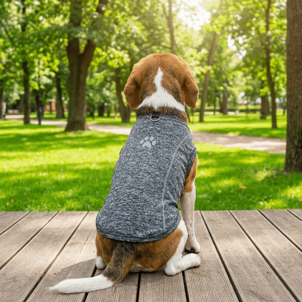 Casual Style Thin Breathable Dog Reflective Vest Soft Reflective Strips Pet T-Shirt Sleeveless Pet Summer Clothes Hiking