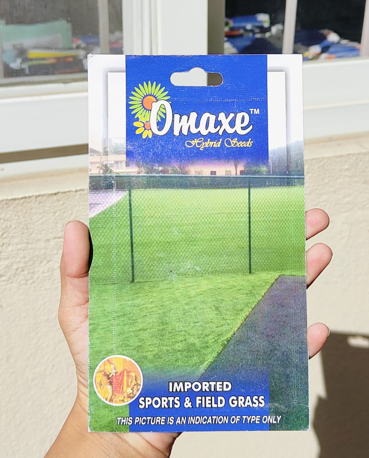 1 Packet Of Omaxe Imported Sports and Field Grass For Your Kitchen Garden - Individual Seal Pack - Fresh & New Seeds With High Germination Rate
