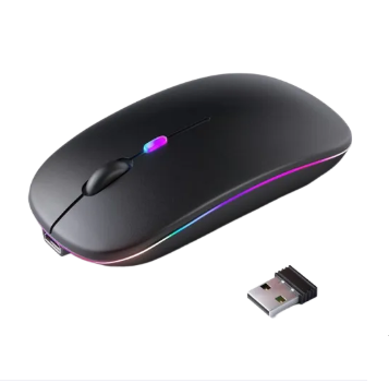 Dual Rechargeable Bluetooth and 2.4G Wireless Mouse 2 in 1 Mouse W10
