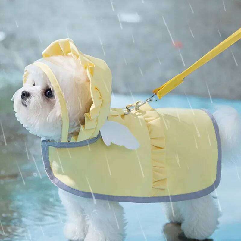 Angel Raincoat Summer Rain Waterproof Small Dogs Out Cape Style Poncho Supplies Dog Accessories Pet Clothes