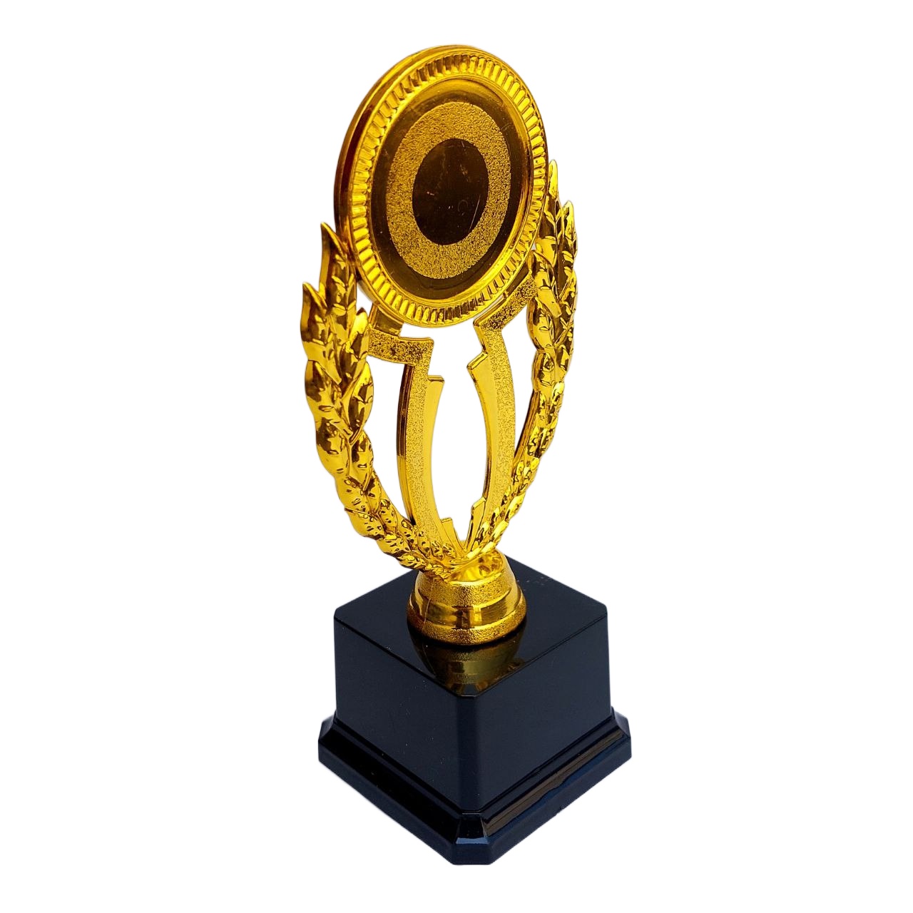 22cm Gold Cup Winner Trophy for Awards, Party Celebrations Ceremony Appreciation Gift Sport Academy AS