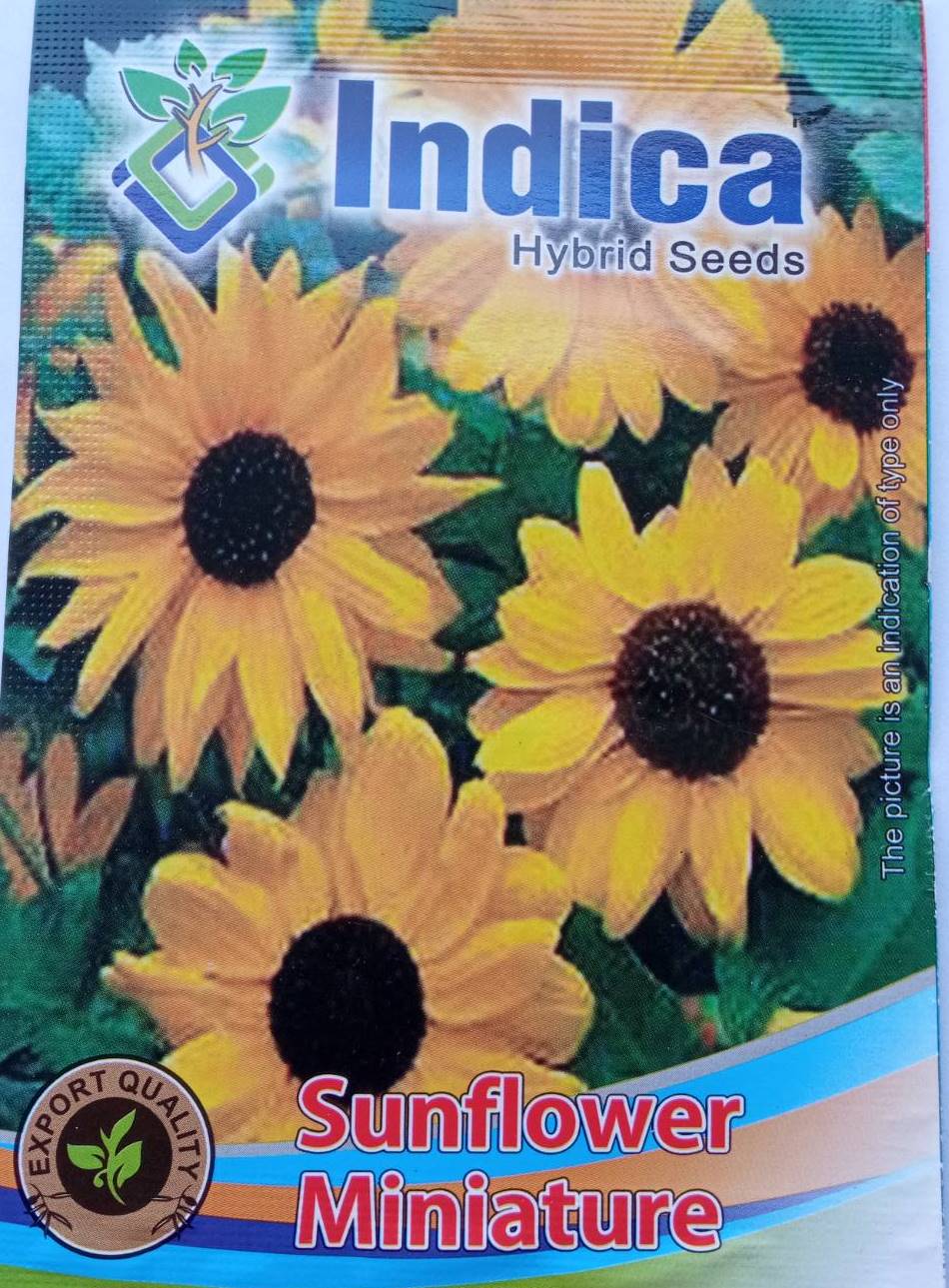 Miniature Sunflower Seeds 1 Gram