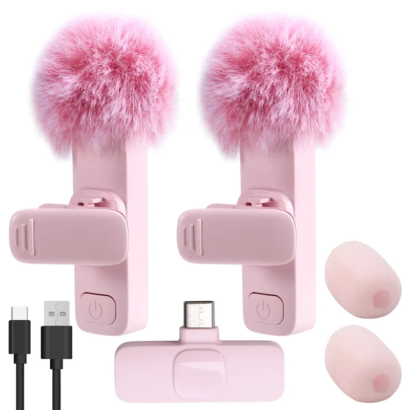 ARELENE New Wireless Lavalier Microphone Portable Audio Video Recording Mini Microphone for PC Camera Live Gaming Phone