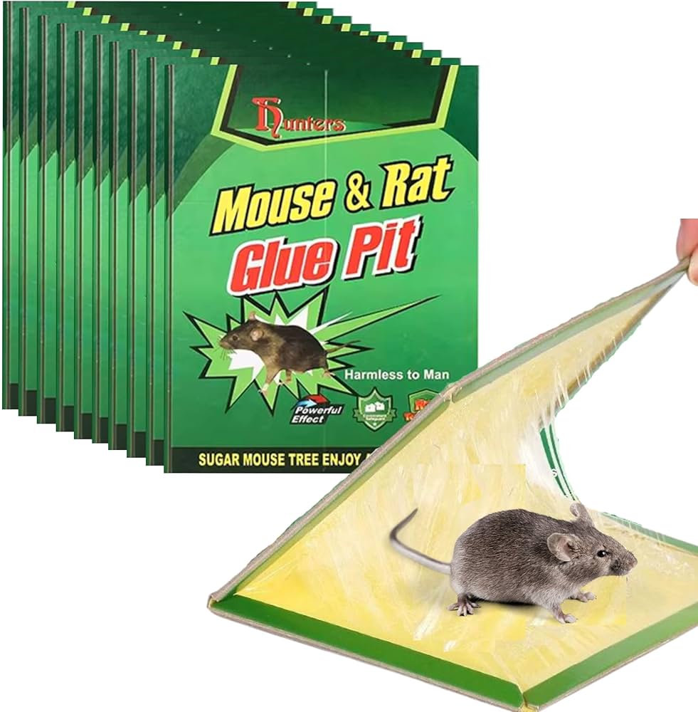 Heavy Duty Non-Toxic Mouse Catcher Board for Household and Commercial Use