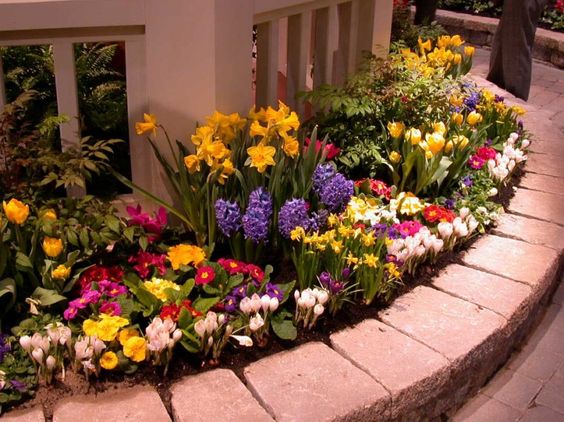 Flower Seeds- Attract Butterfly 10 Types Of All Time All Locations Small Home Garden Flower Seeds (Small Pouch Pack 10 Types)