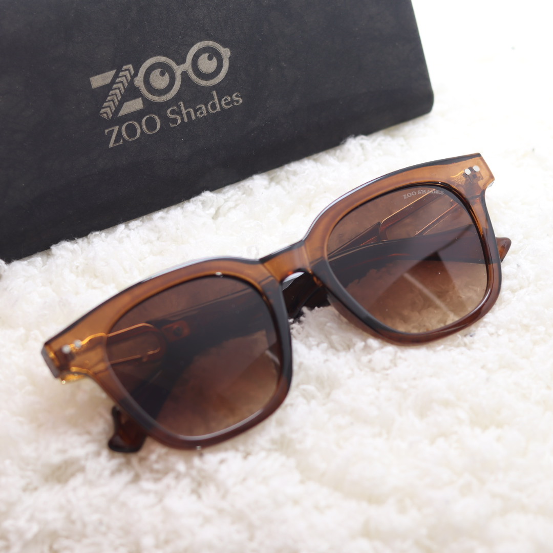 Square Brown & Black Frame New Design Sunglasses For Women