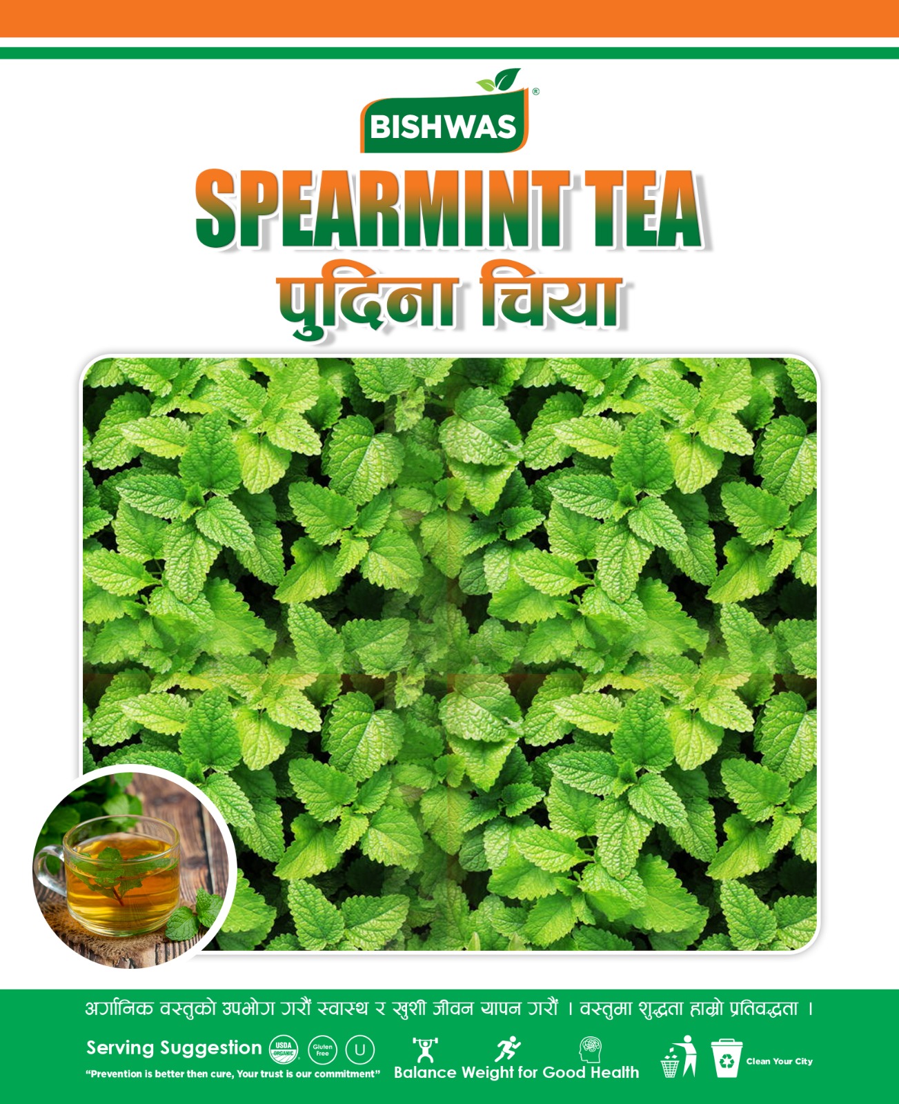 Spearmint Tea (स्पियरमिन्ट चिया) 🌿 25gm