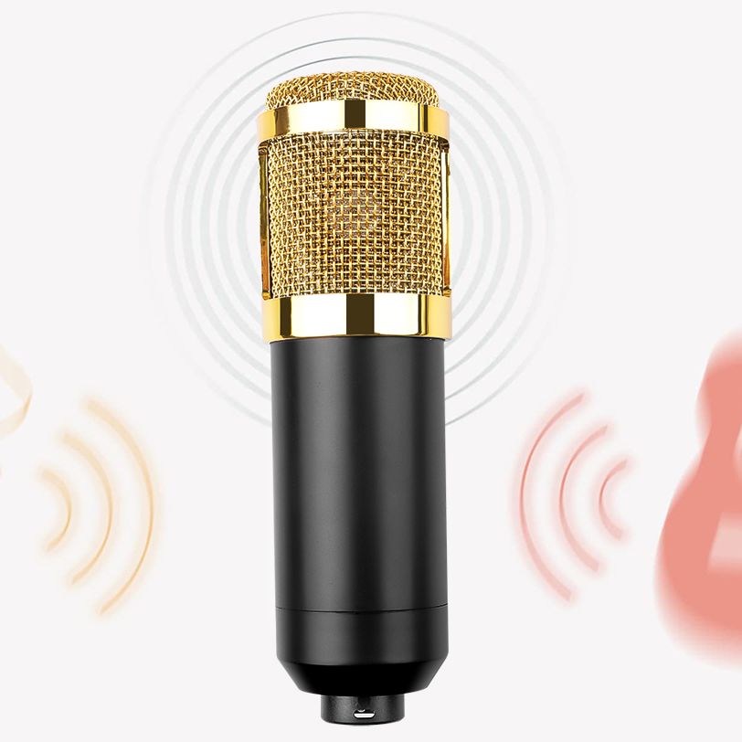 Professional BM800 karaoke Condenser Microphone