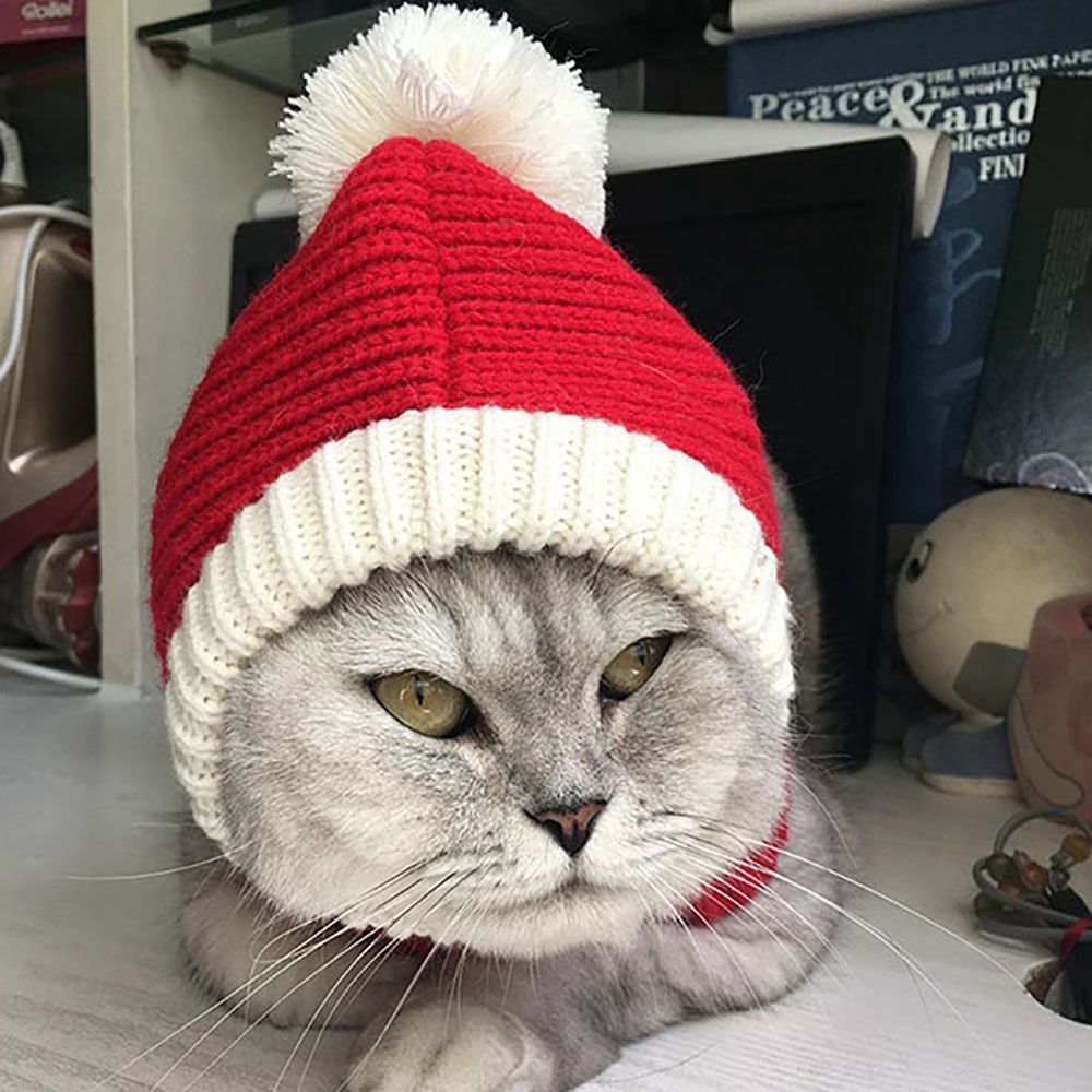 Autumn DIY For Small Medium Large Dogs Pet Warm Dog Cap Dog Accessories Pet Cosplay Dog Cat Hat