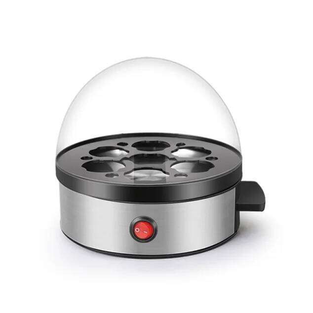 European Specification Multifunctional Cooker Mini Steamer 220V Home Appliance Household Kitchen Breakfast Egg Boiler
