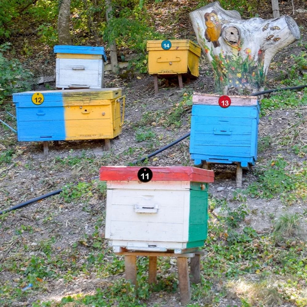 Beekeeping Tools Plastic Beehive Tags Colorful Round Sequential Numbers Sign Labels Durable Corrosion‑resistant Number Plate Husbandry Farm