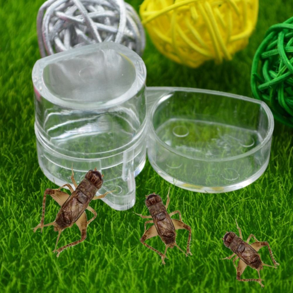 Mini Portable for Cricket Transparent Round Durable Ant Feeder Reptile Drinking Bowl Ant Water Dispenser Ant Nest House