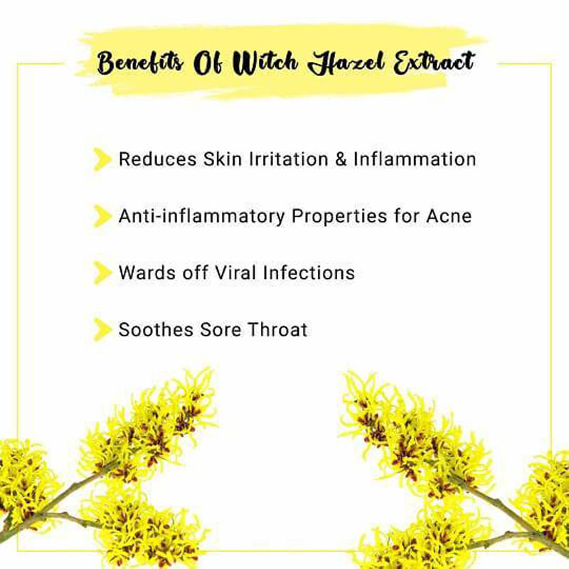 New style Skincare additives, pore, oil control, serum, shrinkage and purifying plum extracts, liquids, natural organic witch hazel, acne, witch hazel