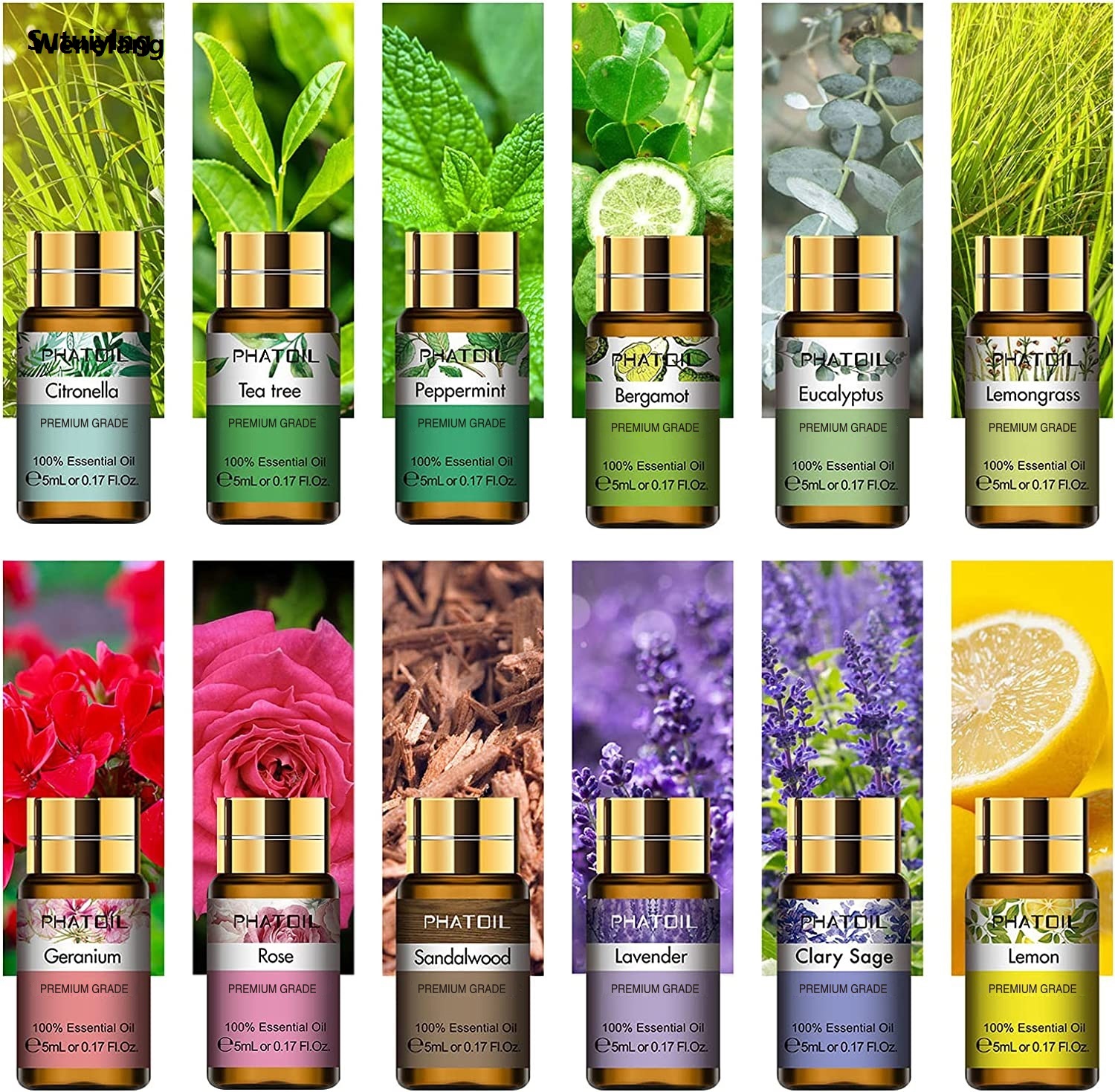 Wenefang Sutuiying PHATOIL 12pcs Gift Box Pure Essential Oils for Humidifiers Diffuser Fifty New percent discount Massage Spa Lavender Lemongrass Rose Lemon Geranium Tea tree
