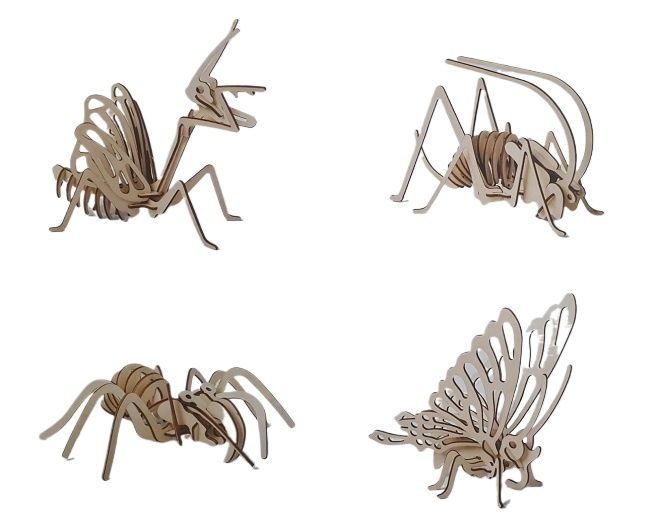 3D Wooden Insects Puzzle(WU23-18)
