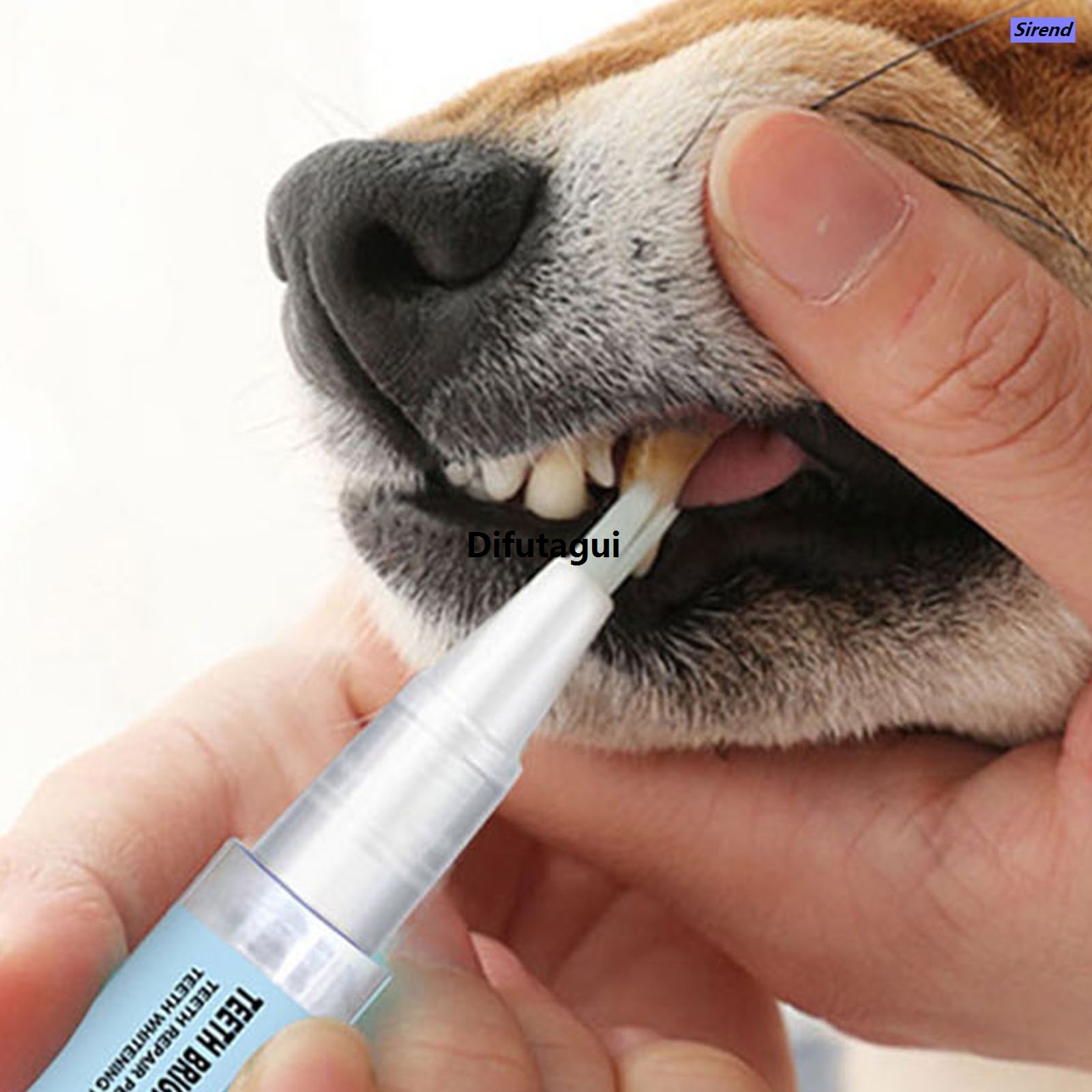 Difutagui Sirend Luxury Safego Happy Pet Dental Solution 2pcs Pet Teeth Cleaning Pen for Dogs Cats Natural Ta r Remover Special Dental Stain Cleaner Pet Supplies for Breath Healthy Teeth Buyers' Top Choice Cat Teeth Cleaning Tool