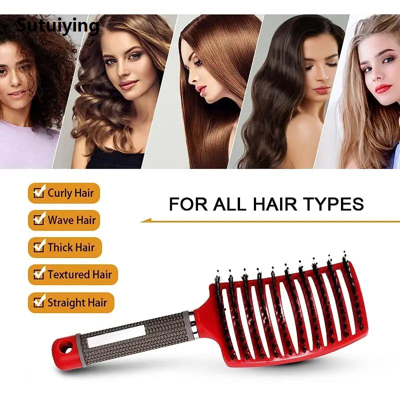 Sutuiying 2PC/set Magic Demelant Brush Bristle Nylon Hair Popbrush Untangle 2025 Brush Scalp Massage Comb Salon Professional hair comb