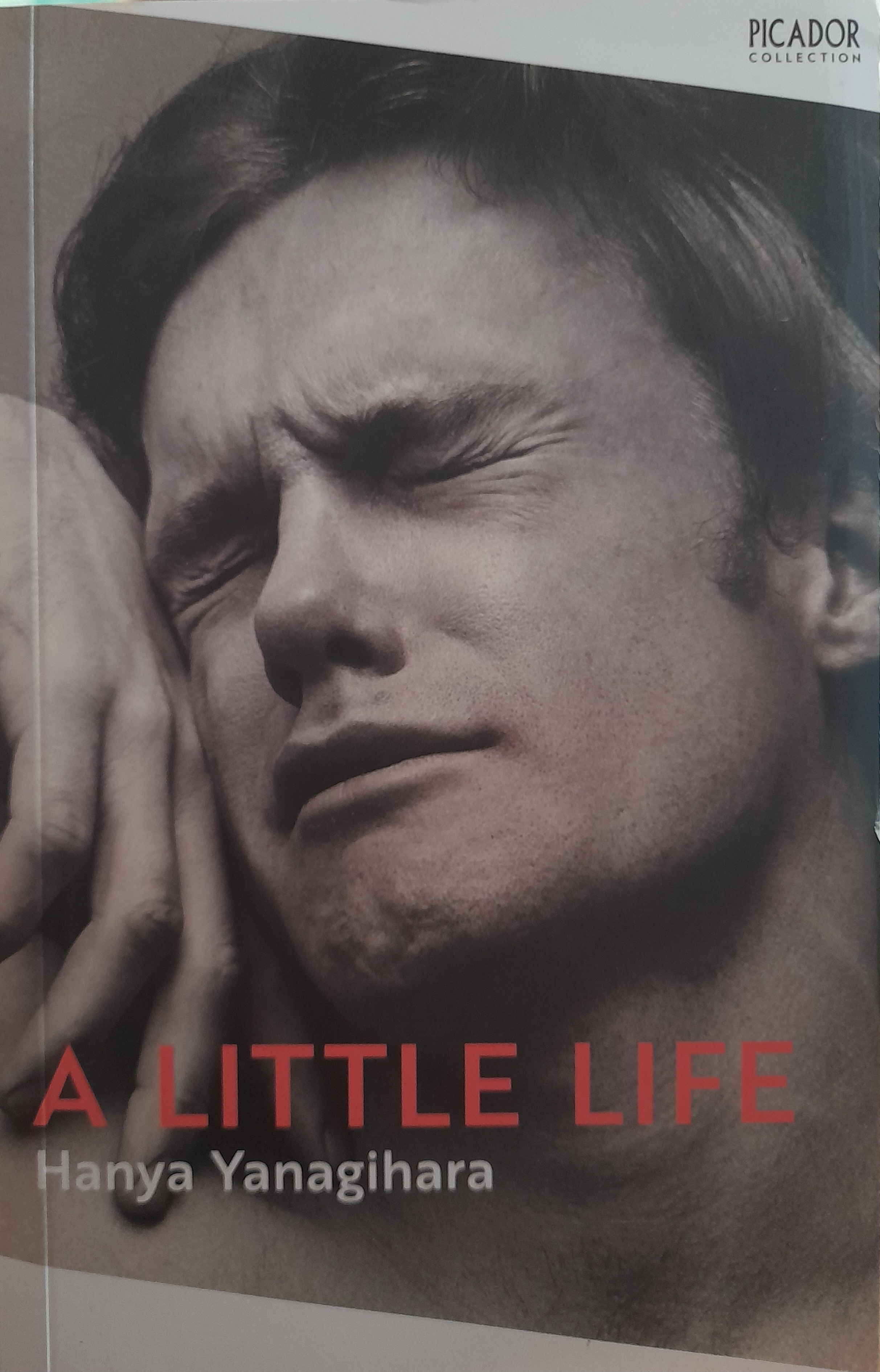 Phulchowki Books A Little Life By Hanya Yanagihara