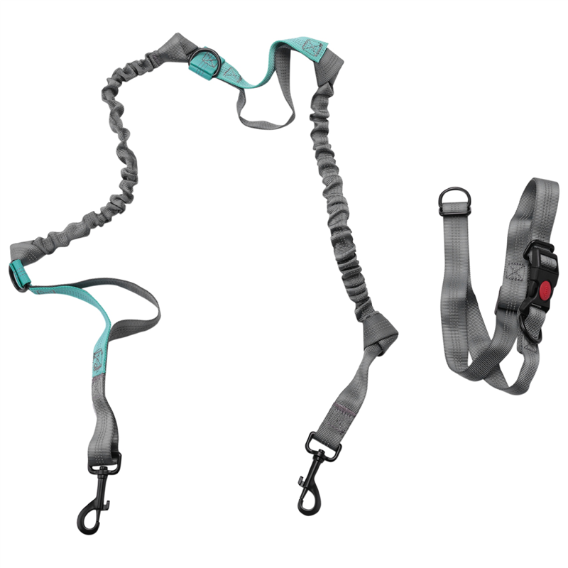 Hands Waist Dog Leash with Dual Bungees, for Up to 150 lbs Dogs