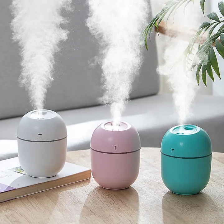 Portable Mini Egg Humidifier Ultrasonic Air Humidifier Aroma-220ml