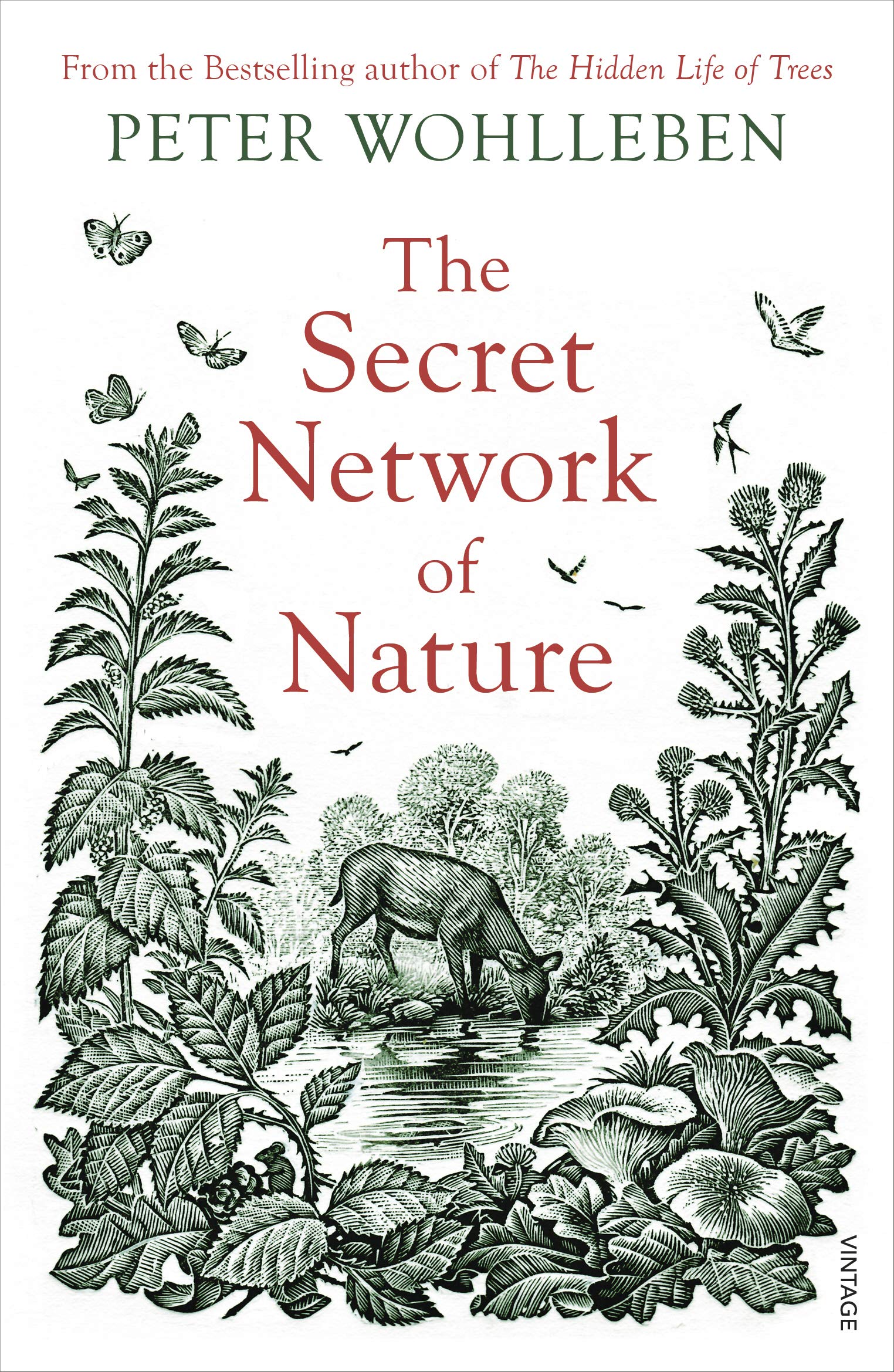 The Secret Network of Nature (Paperback) By Peter Wohlleben