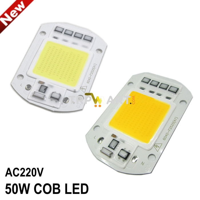 50W Led Light Warm 1Pcs And White 1Pcs Color High Power Direct AC 220V LED COB Chip 2 Pcs