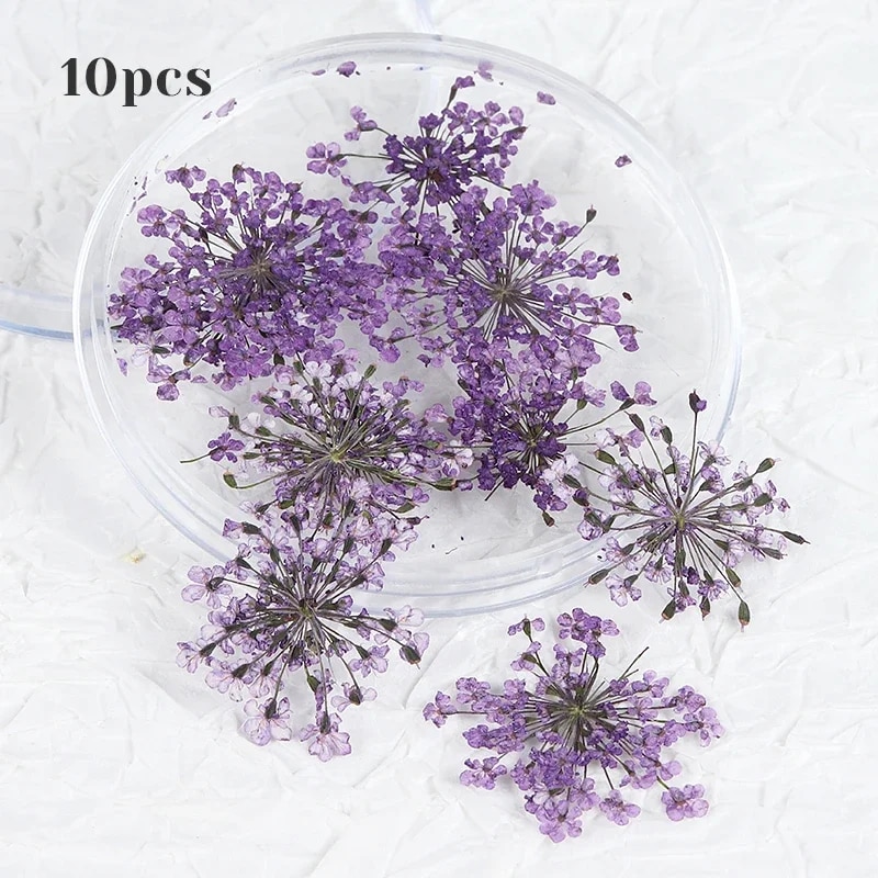 2025 10Pcs 3D Natural Dry Flower Nails Charms Summer Decoration Colorful Petal Parts for DIY Dried Flowers UV Nail Stylist Supplies
